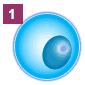 Step 1: DNA replication