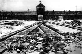 Main Camp 